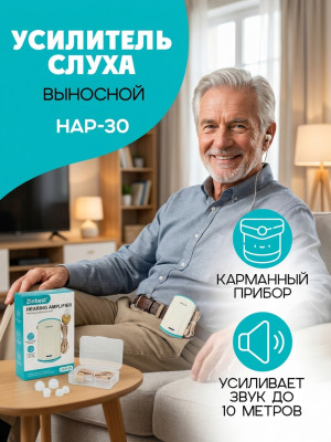 Усилитель звука Zinbest HAP-30
